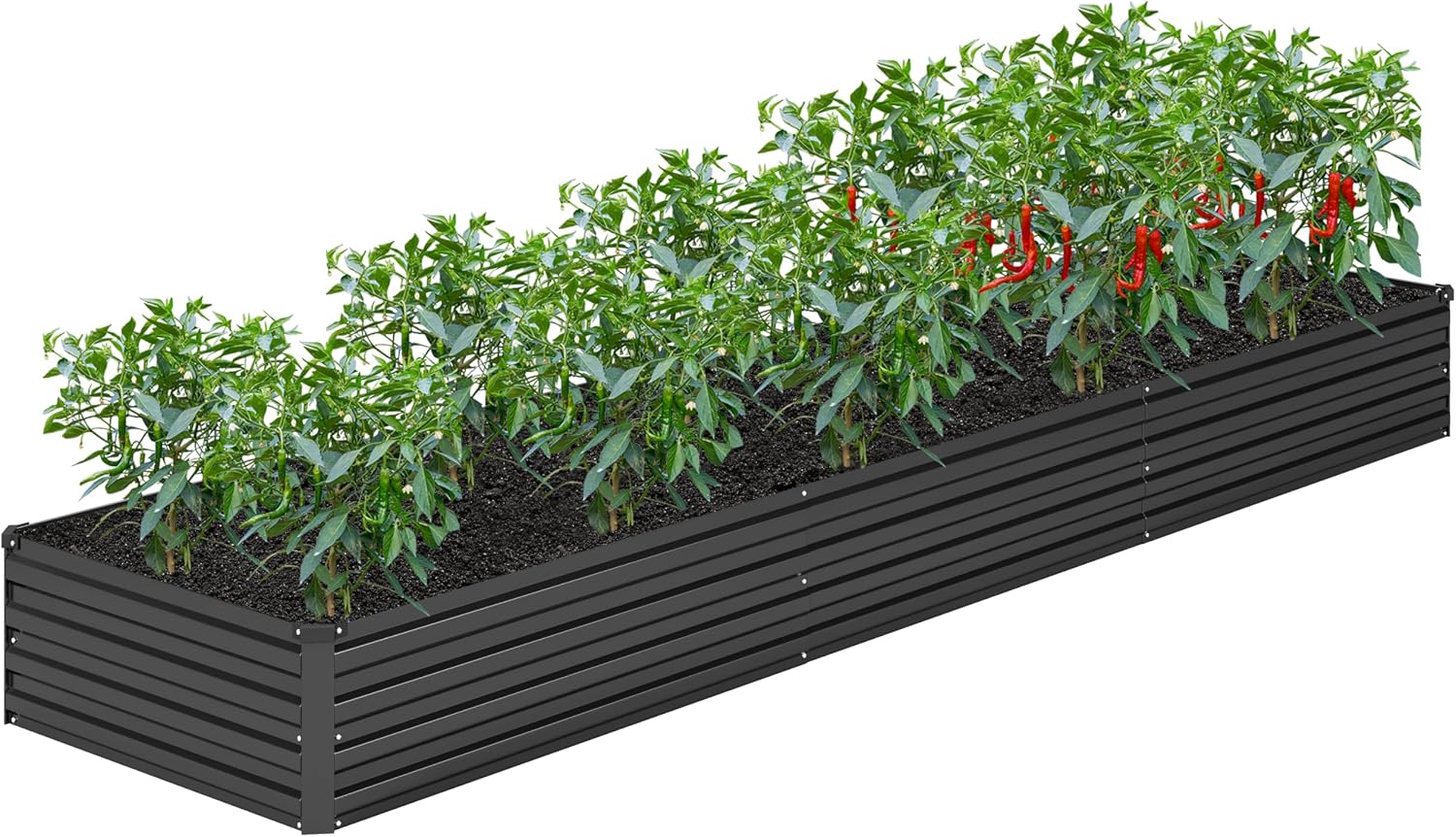 Detalle de DIIYIV Raised Garden Bed, 12-Inch Height