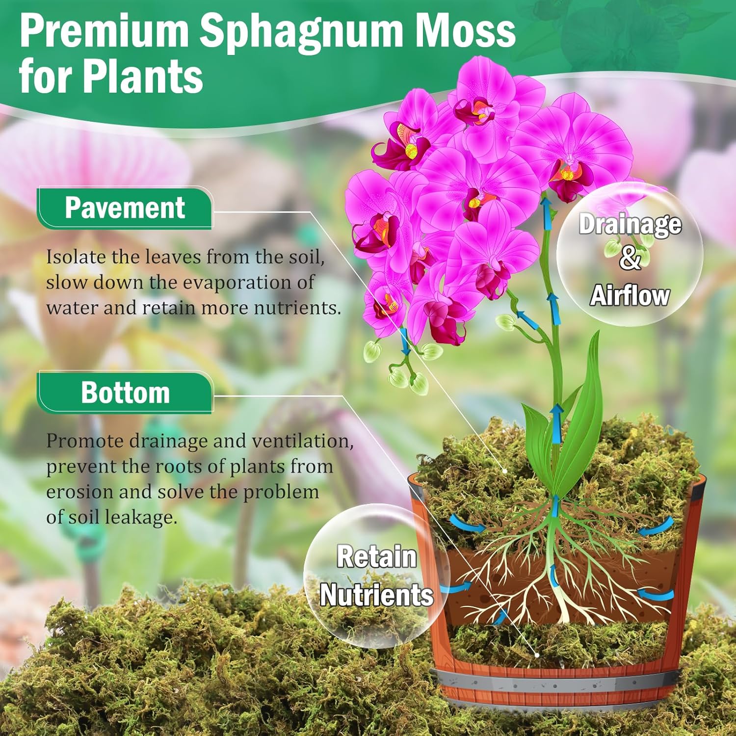 Thumbnail 2 de Riare 1.3kg Natural Dried Plant Moss (Sphagnum) for Repotting, Succulents, Aquariums & DIY