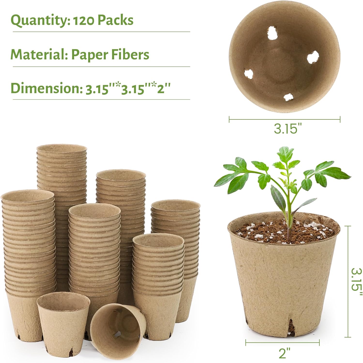 Thumbnail 1 de Bluepro 30-Pack 4-Inch Clear Nursery Pots with Humidity Dome for Seed Starting