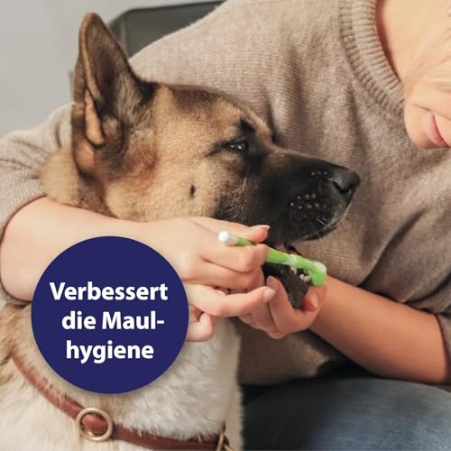 Thumbnail 2 de Canosept Zahnpflege Hund (3-teiliges Set) – Hundezahnbürste, Hundezahnpasta 45 ml und Fingerlinge Zahnpflege