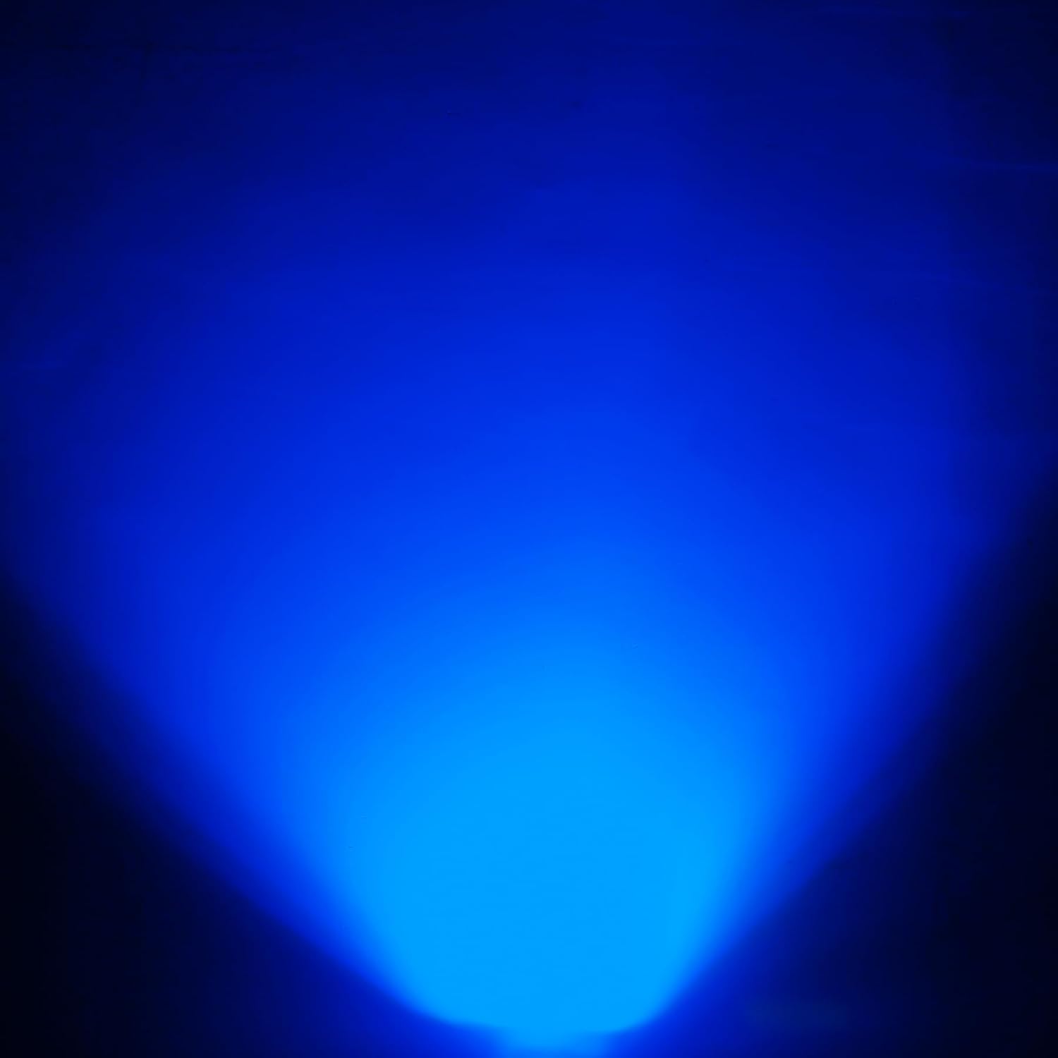 Detalle de NATPOW LED Solar Spot Lights (Blue) – IP65 outdoor dusk-to-dawn garden uplighters
