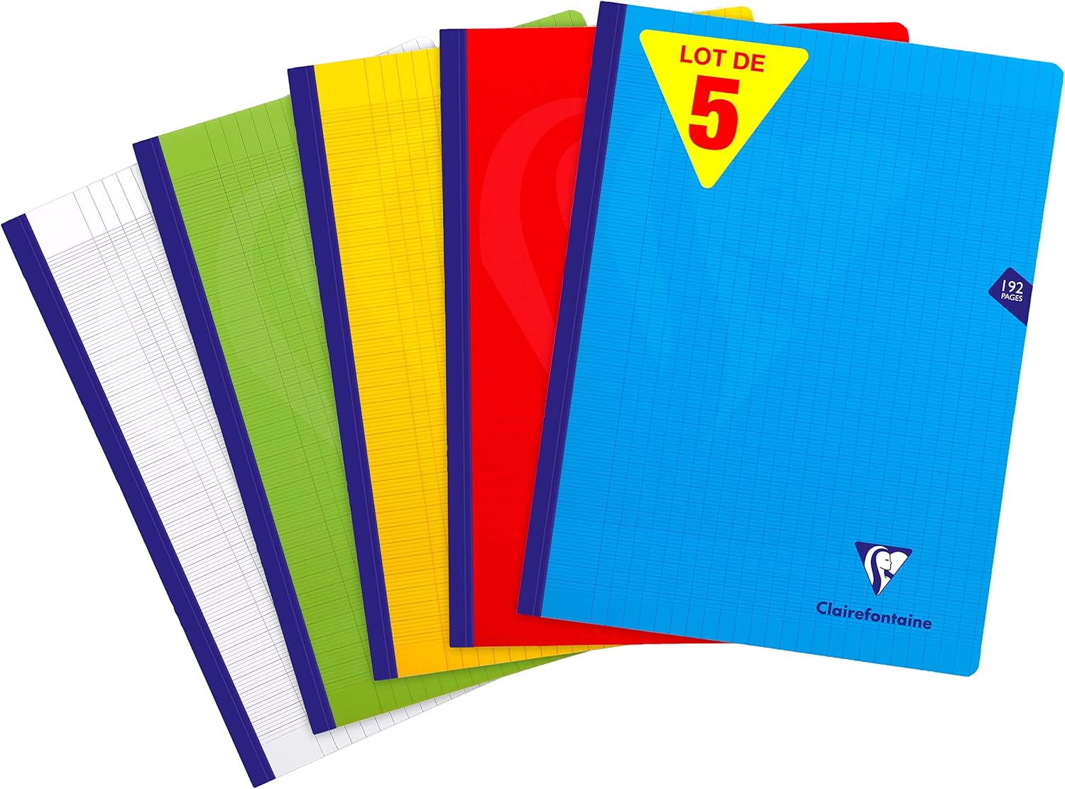 Detalle de Clairefontaine 309341C – Lot de 5 Cahiers Mimesys 24x32 cm, 192 pages