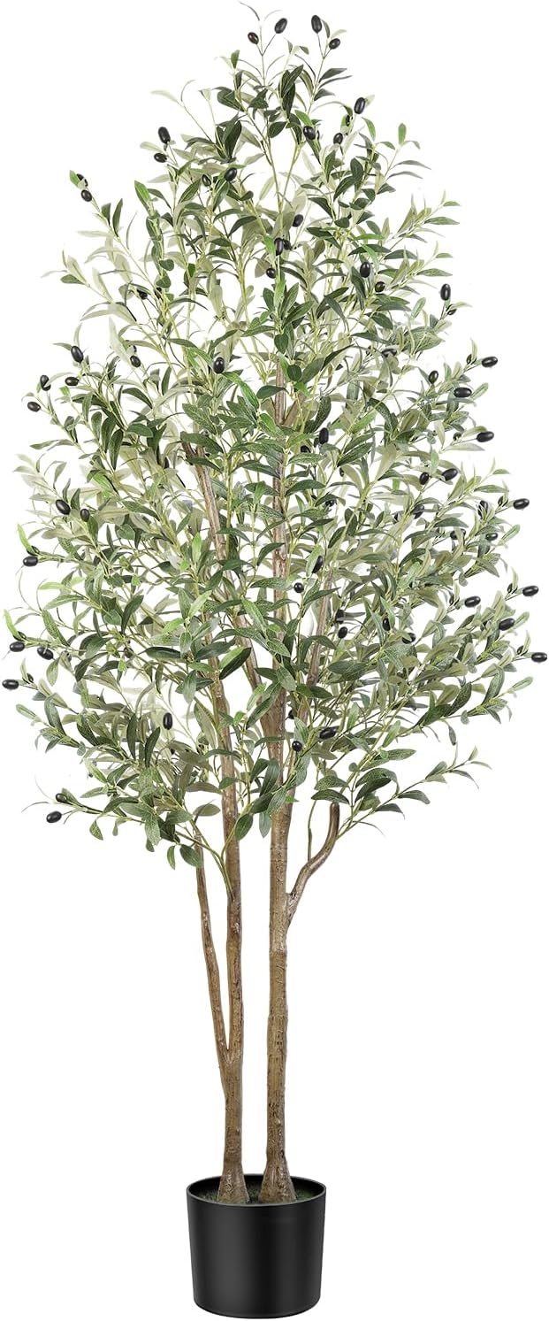 Detalle de Alupssuc 6FT Olive Tree