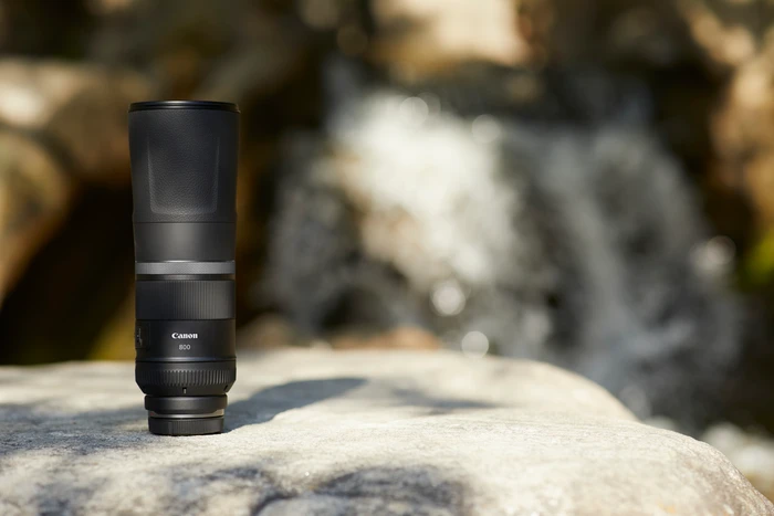 Thumbnail 8 de Canon RF 800mm f/11 IS STM – Superteleobjektiv für Wildlife-Fotografie