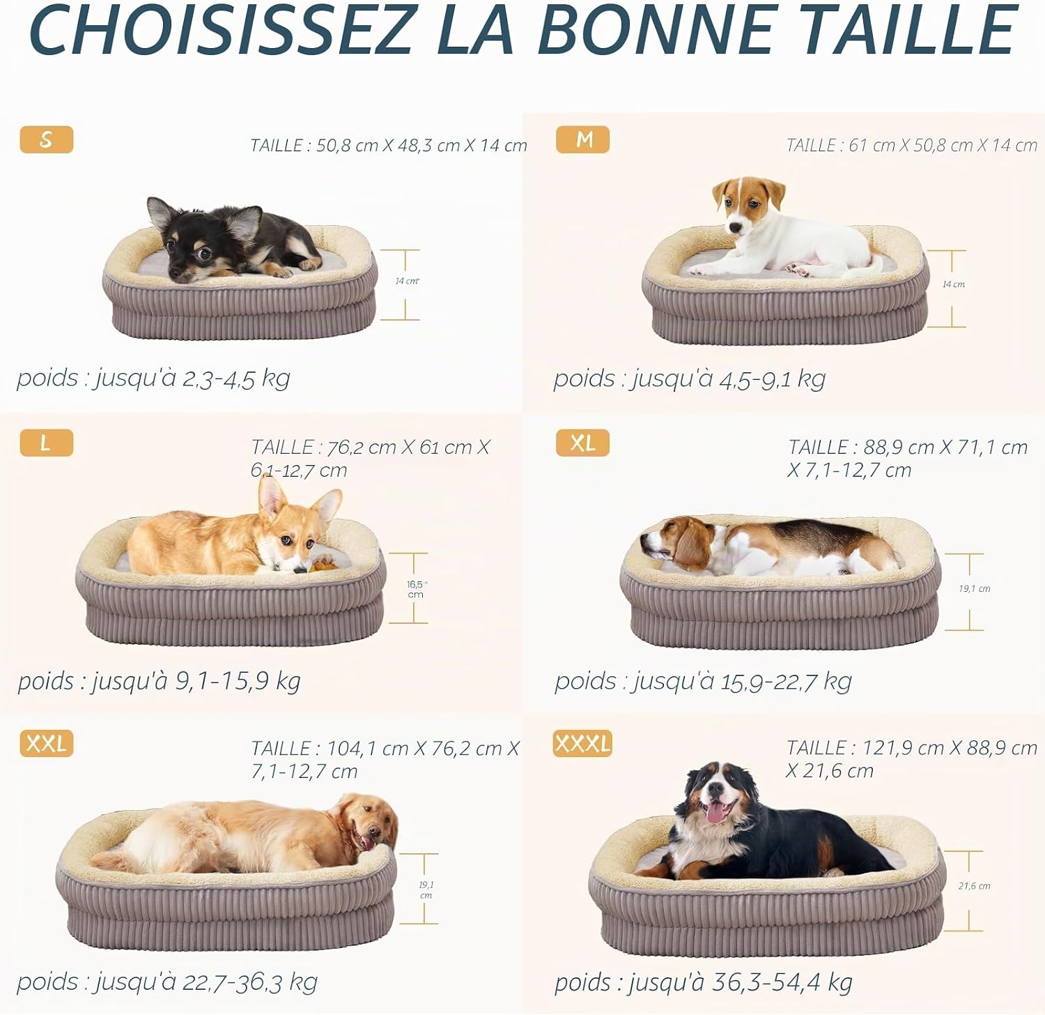 Thumbnail 4 de DEBANG HOME Panier pour Chien — Lit orthopédique en mousse haute densité pour chiens de taille moyenne (gris)