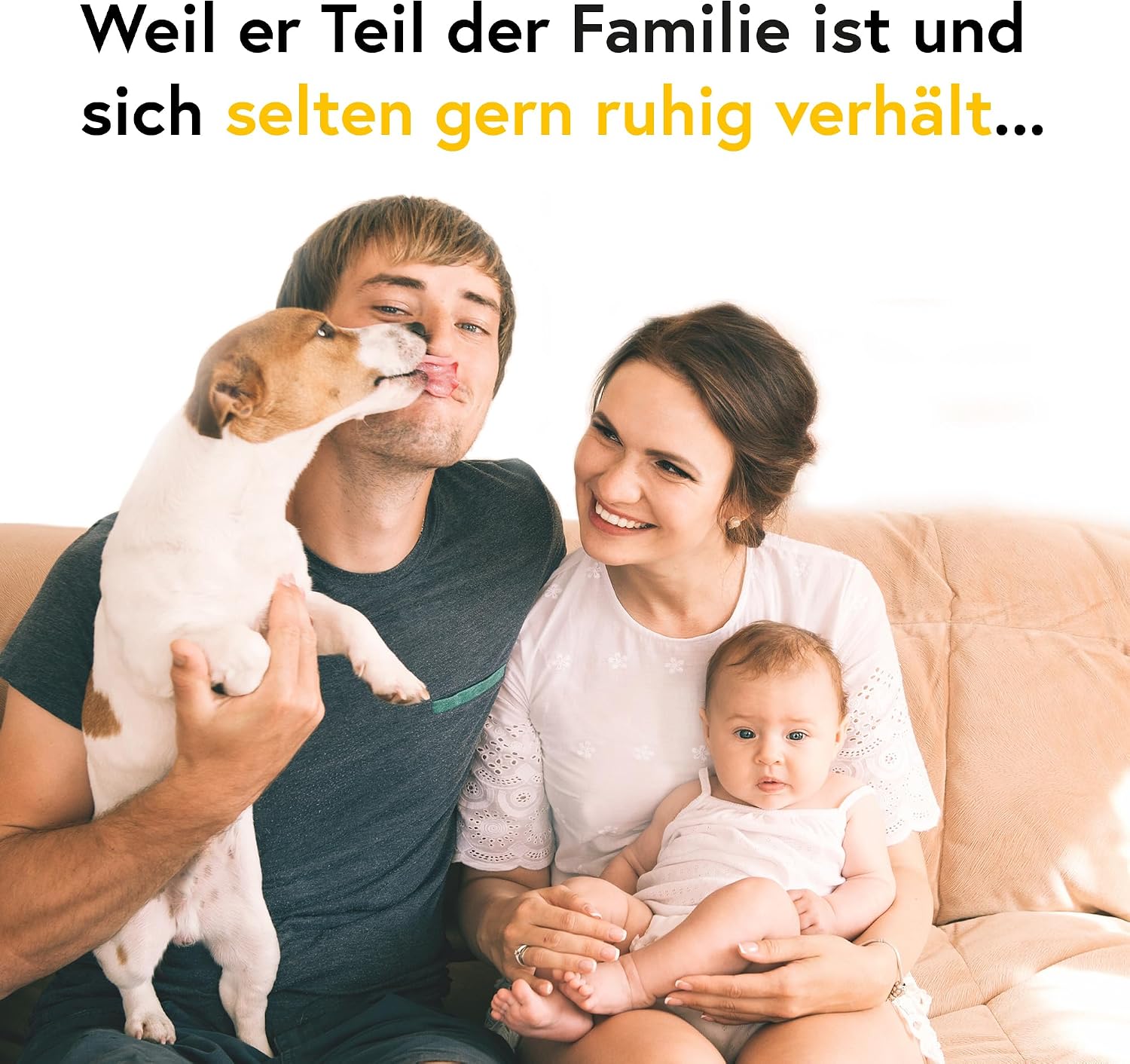Detalle de iProven Fieberthermometer für Hund, Katze & Pferd – präzise Messung in 20 Sekunden