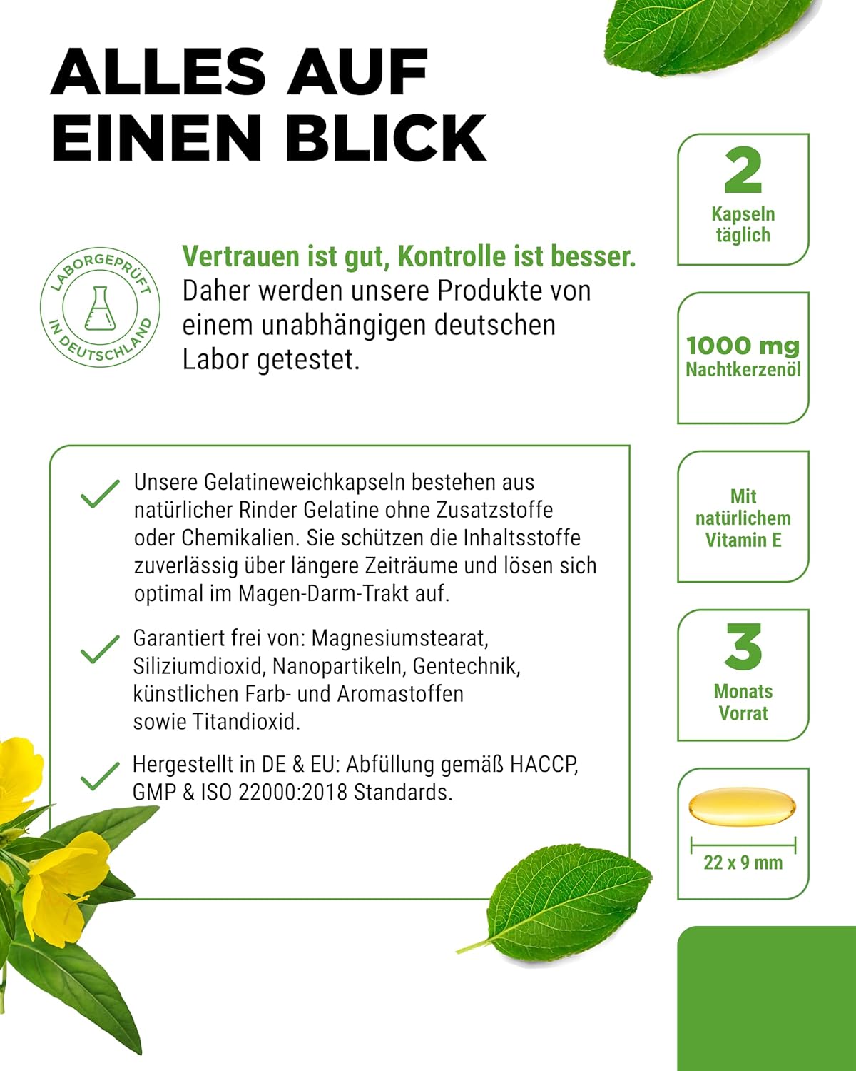 Thumbnail 3 de vit4ever Nachtkerzenöl Kapseln (180) – 2.000 mg Tagesdosis, 10% GLA, kaltgepresst