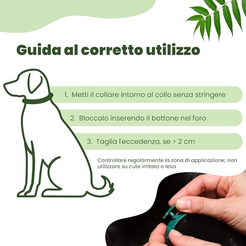 Detalle 2 de CAMON Collare Protettivo per Cane (>10kg) con Olio di Neem, 60 cm: protezione naturale fino a 2 mesi