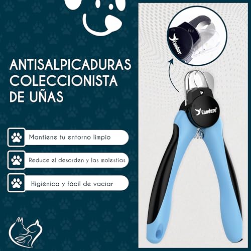 Detalle de Candure Cortaúñas para Perros con Luz LED — Corte Seguro y Preciso con Sensor de Seguridad