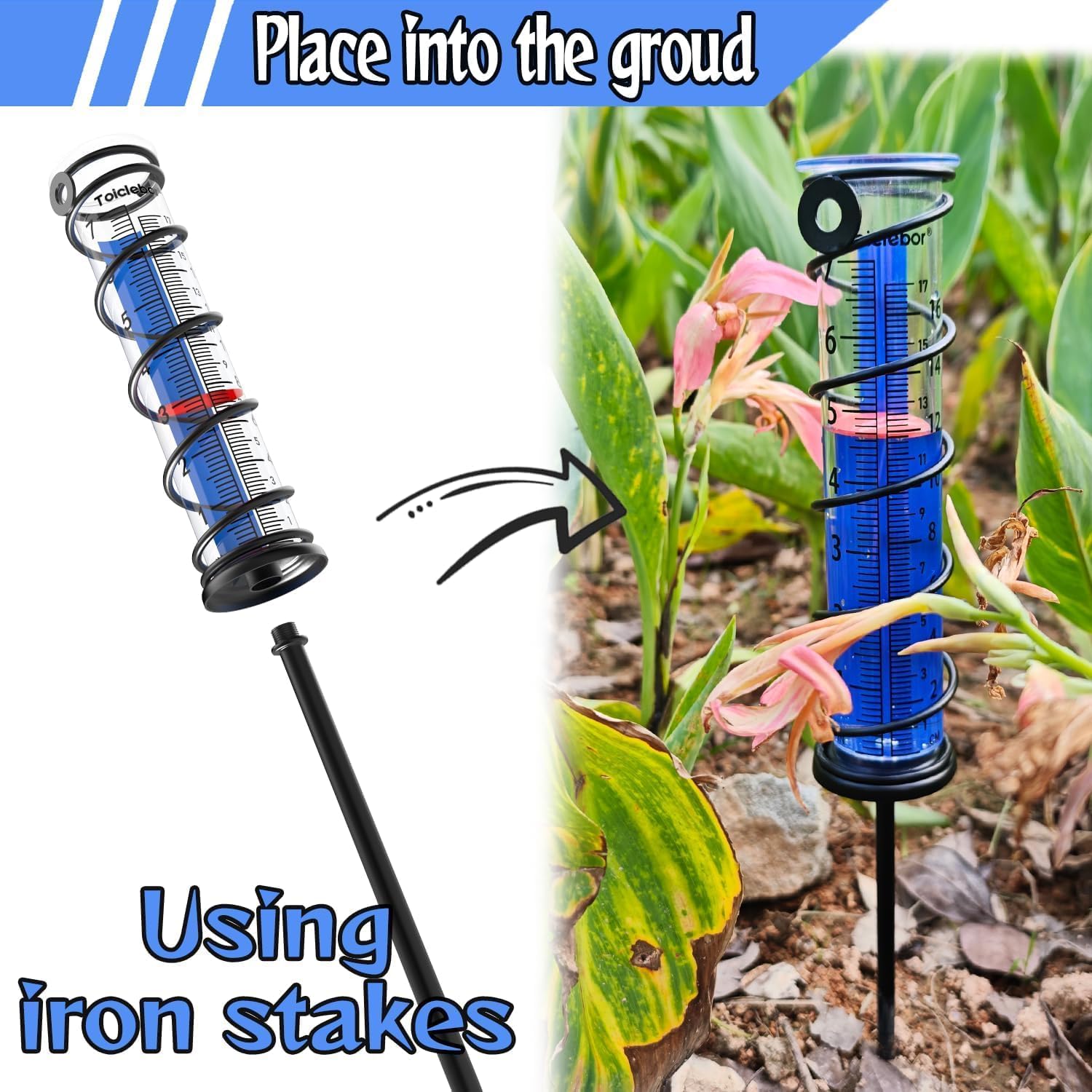 Detalle 2 de Toiclebor Rain Gauge with Dual Scale