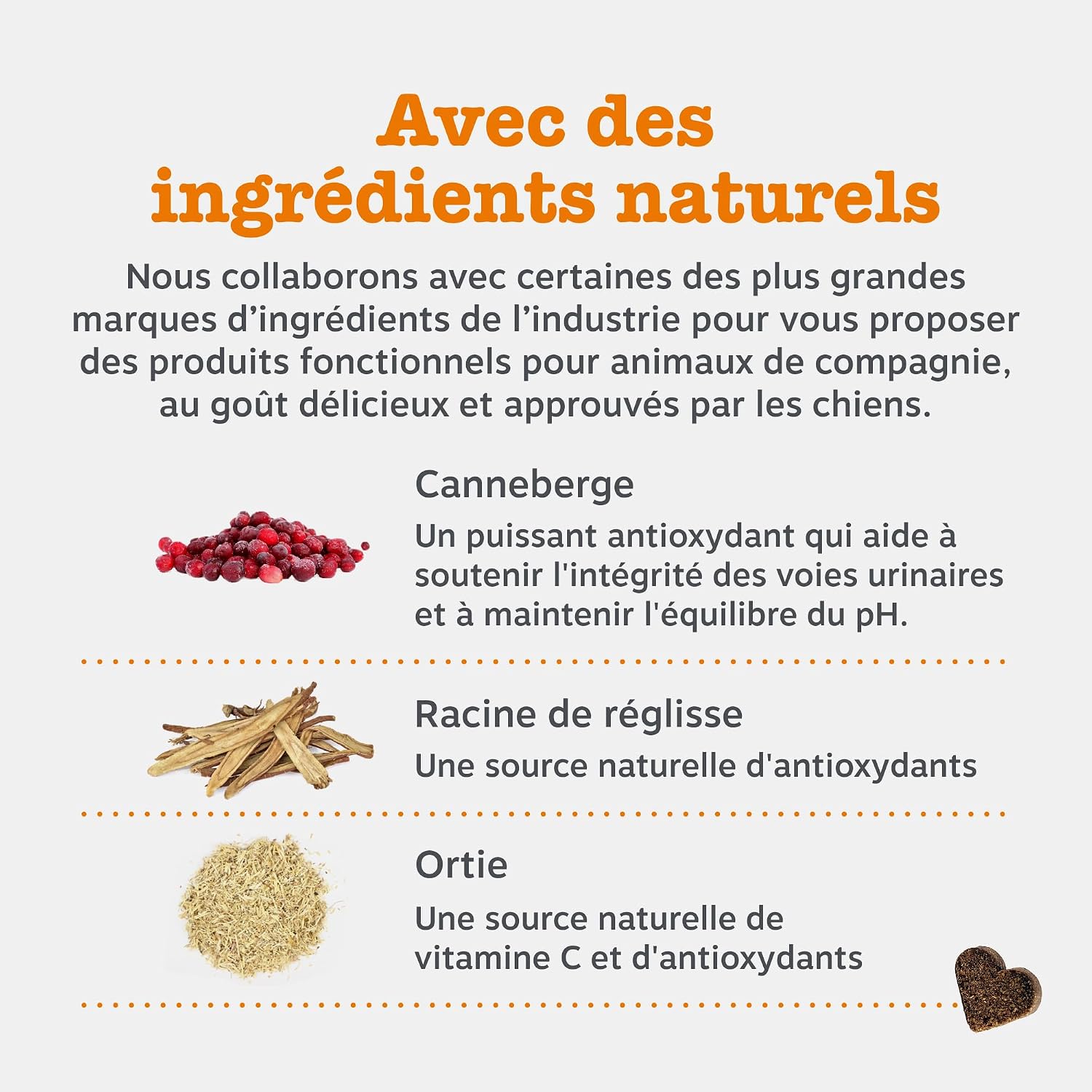 Detalle 2 de Zesty Paws Urinary Care à la Cranberry – Friandises complètes pour la santé des voies urinaires chez le chien