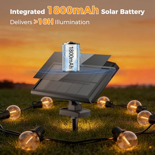 Detalle de VenzBlomia Solar Festoon Lights Outdoor 16.3M/53.5FT with Remote – G40 LED, USB Backup