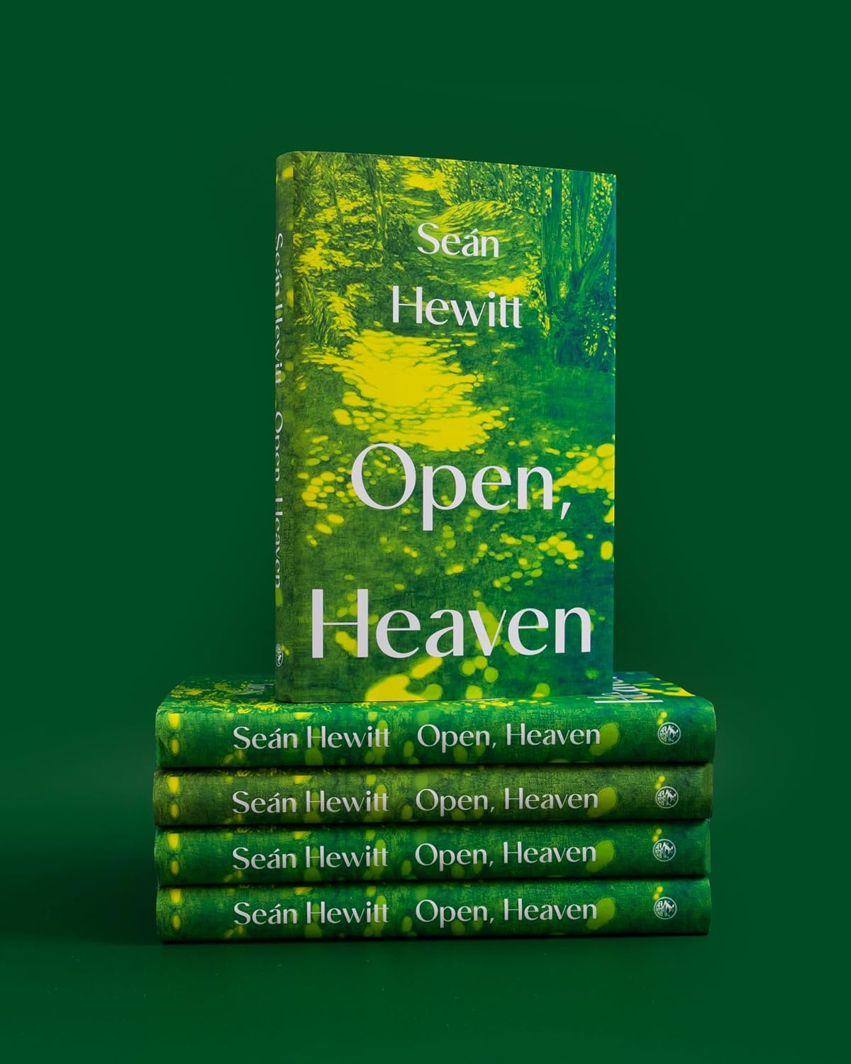 Detalle 1 de Open, Heaven – roman over de invloed van een eerste liefde, 240 pagina’s