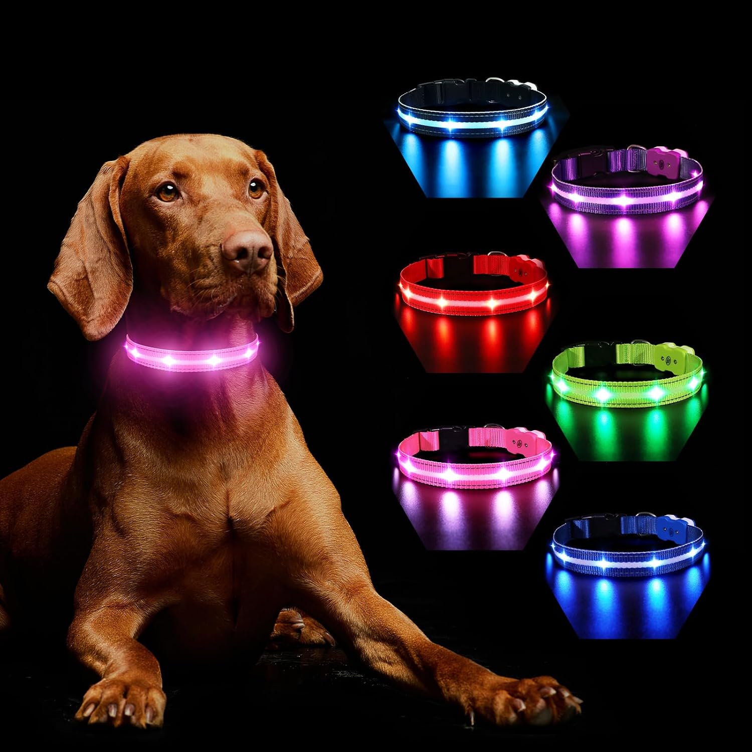 Detalle de MASBRILL Collier Lumineux pour Chien – Rechargeable, Étanche et Réglable (3 Modes, Violet, S)