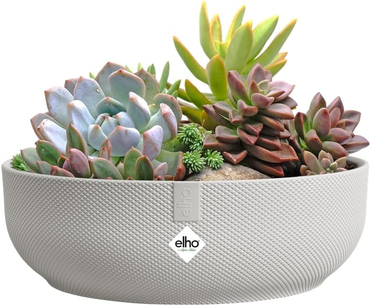 Thumbnail 6 de Elho Jazz Bowl 28cm Vasi per Piante – Silky White: stile urbano e sostenibilità dentro casa