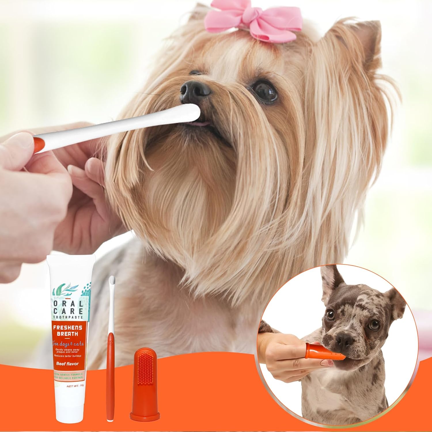Thumbnail 6 de MEIEGOU Zahnpflege Hund Set