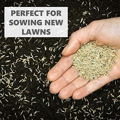 Thumbnail 4 de Grow Pure Grass Seed (1kg) — Quick Patch and New Lawn Solution, UK Climate