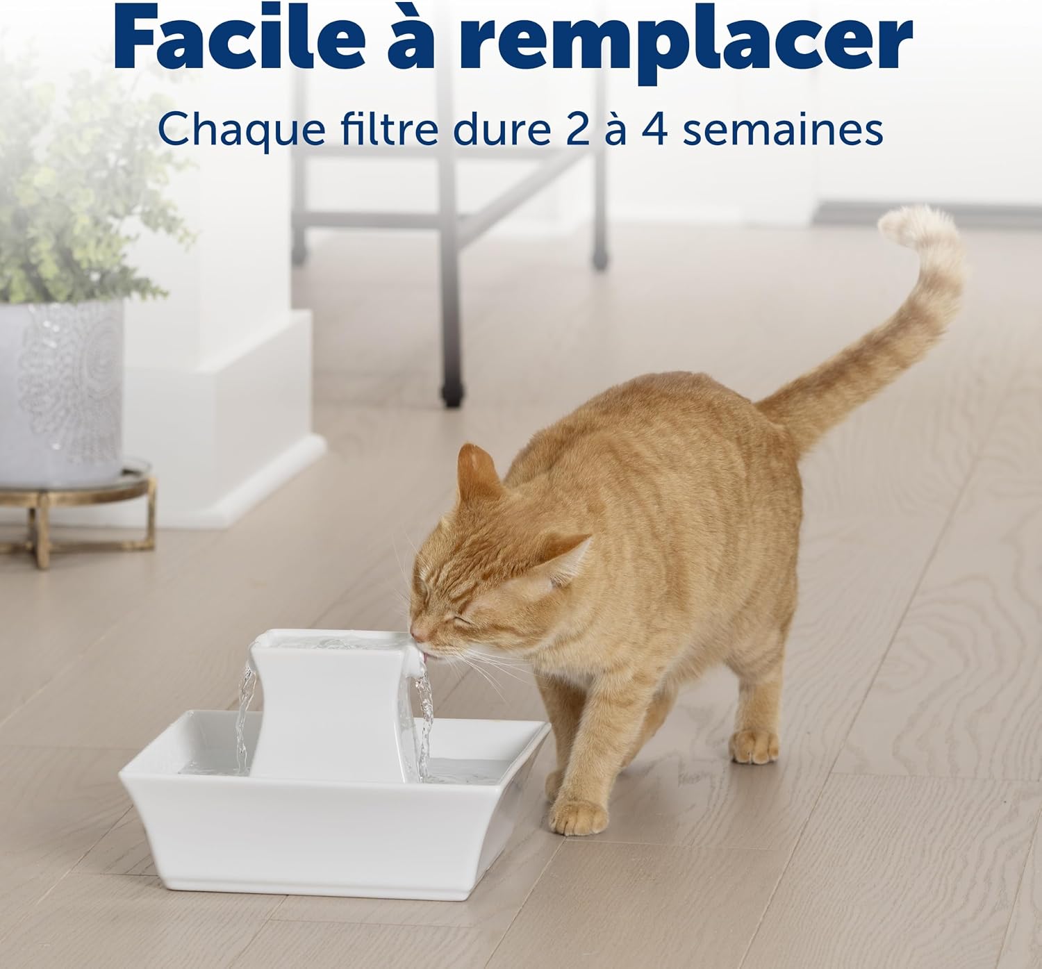 Thumbnail 6 de Petsafe – Filtre au charbon de rechange pour fontaine Drinkwell Avalon et Pagoda (4 filtres)