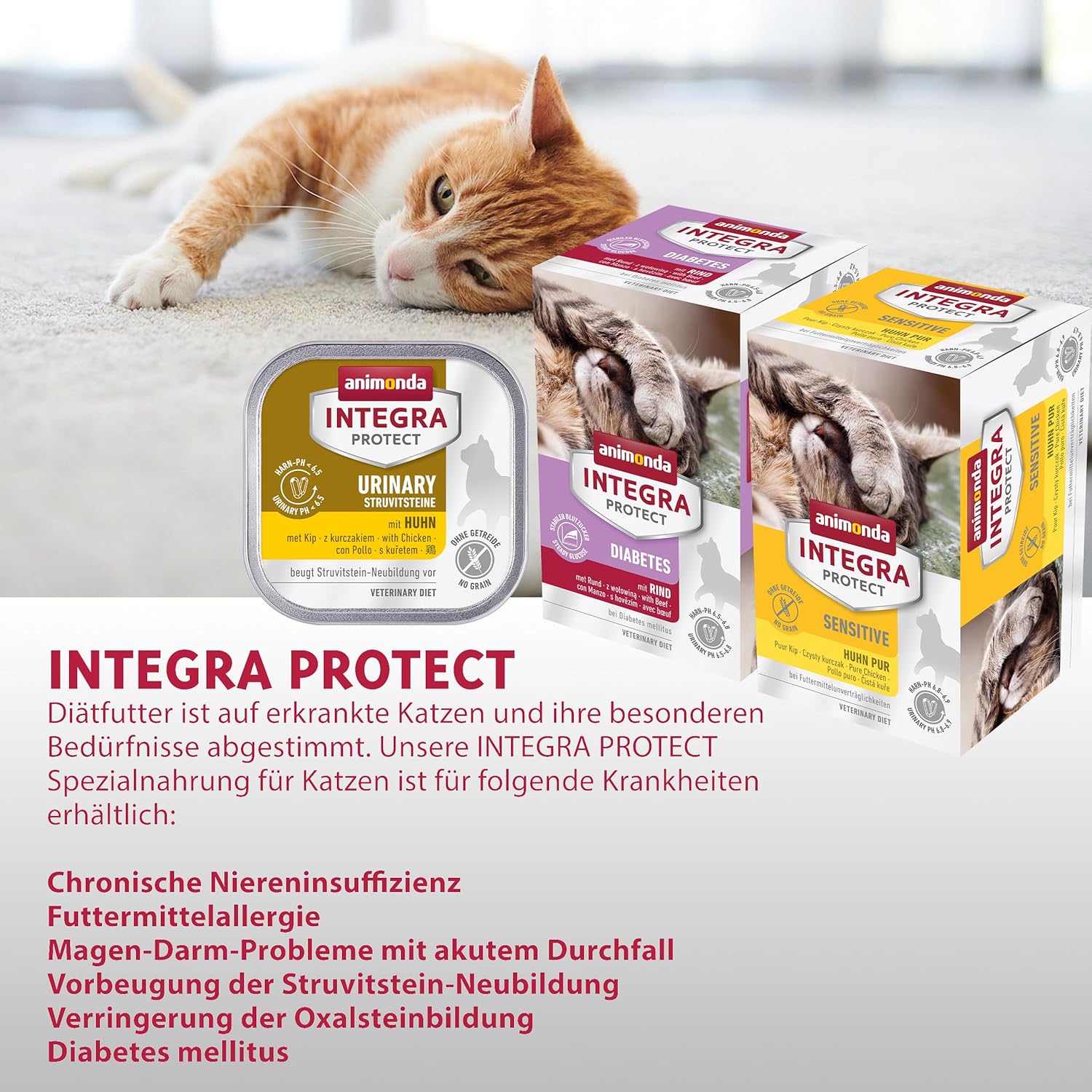 Detalle de animonda INTEGRA PROTECT Urinary – Diätfutter für Katzen mit Harnwegen (1 x 1200 g)