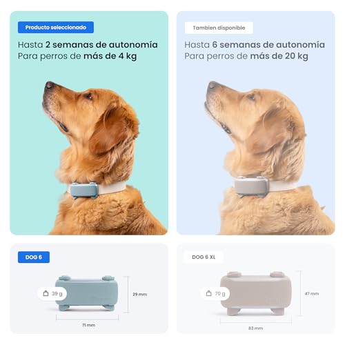 Thumbnail 5 de Tractive GPS perros 2025 Edición — Localización en tiempo real, salud y alertas de fuga