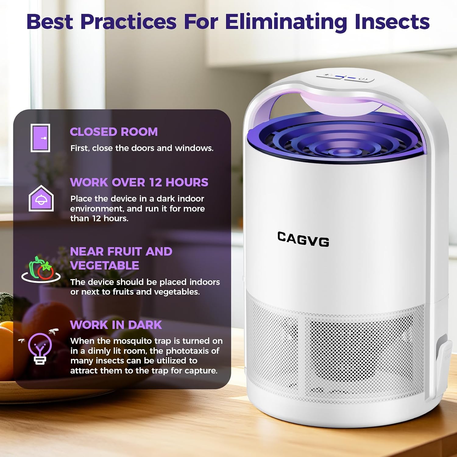 Detalle 1 de Indoor Fly Trap with 10 Refills