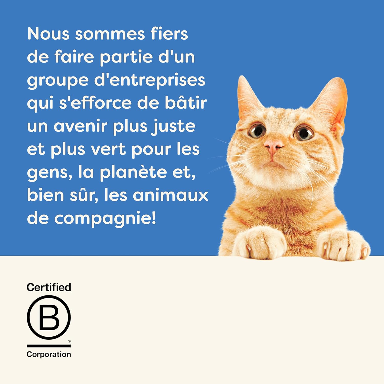 Thumbnail 6 de Applaws Friandise Crémeuse à Lécher au Thon sans Céréales — 32 sachets 15 g pour Chats et Chatons