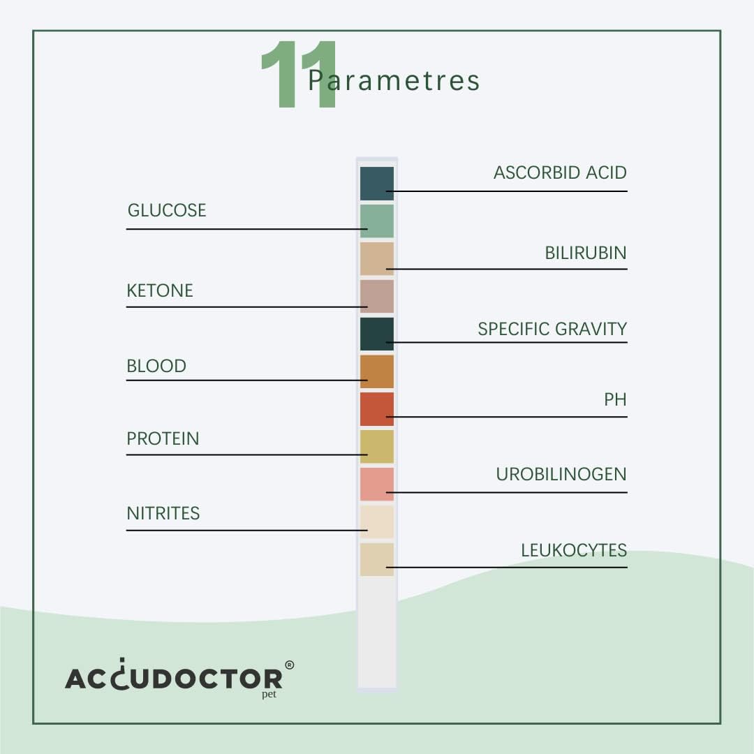 Detalle 1 de AccuDoctor 100 Urin-Teststreifen Haustiere 🐾