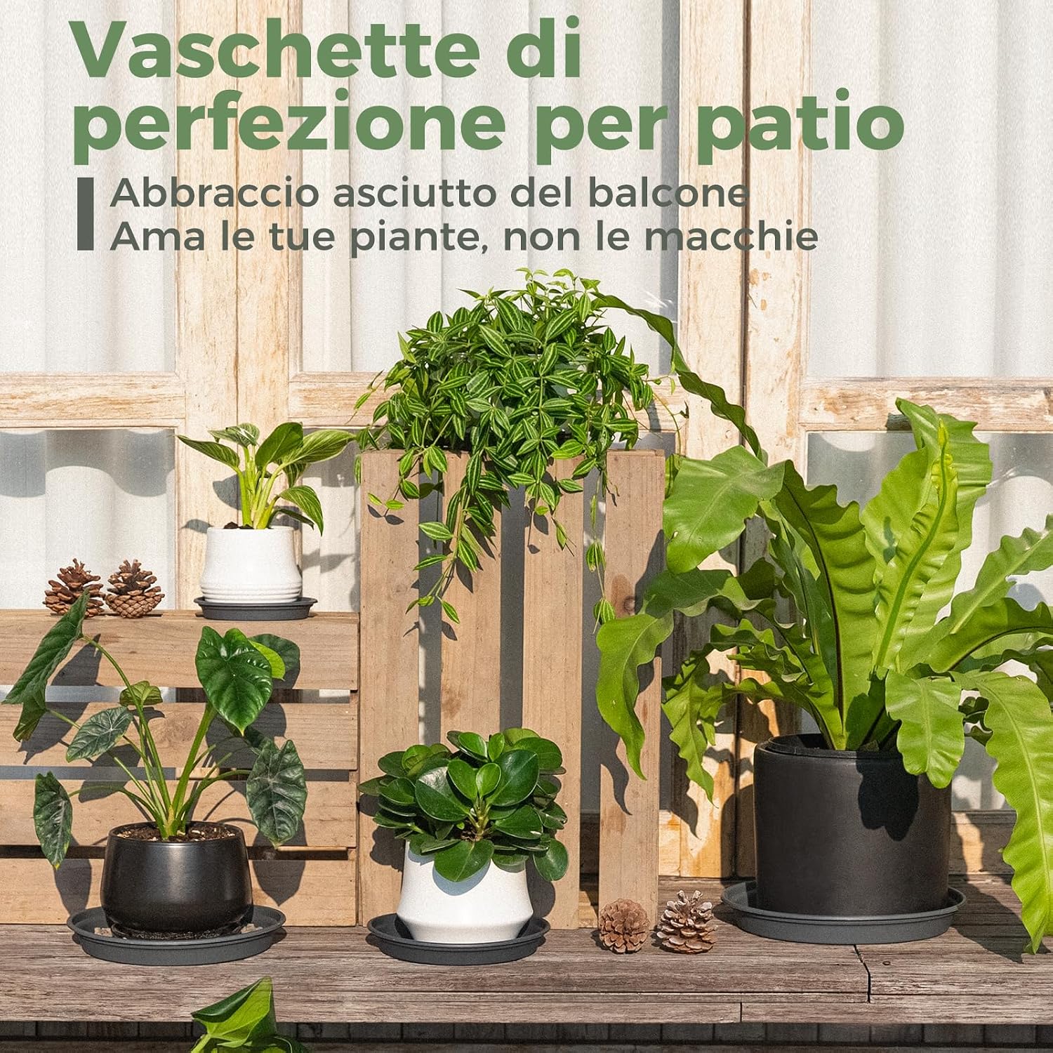 Thumbnail 5 de Bamworld Kit di 5 Sottovasi Rotondi 25/22/18/15/13 cm – Vassoi in Plastica Resistente e Impermeabili