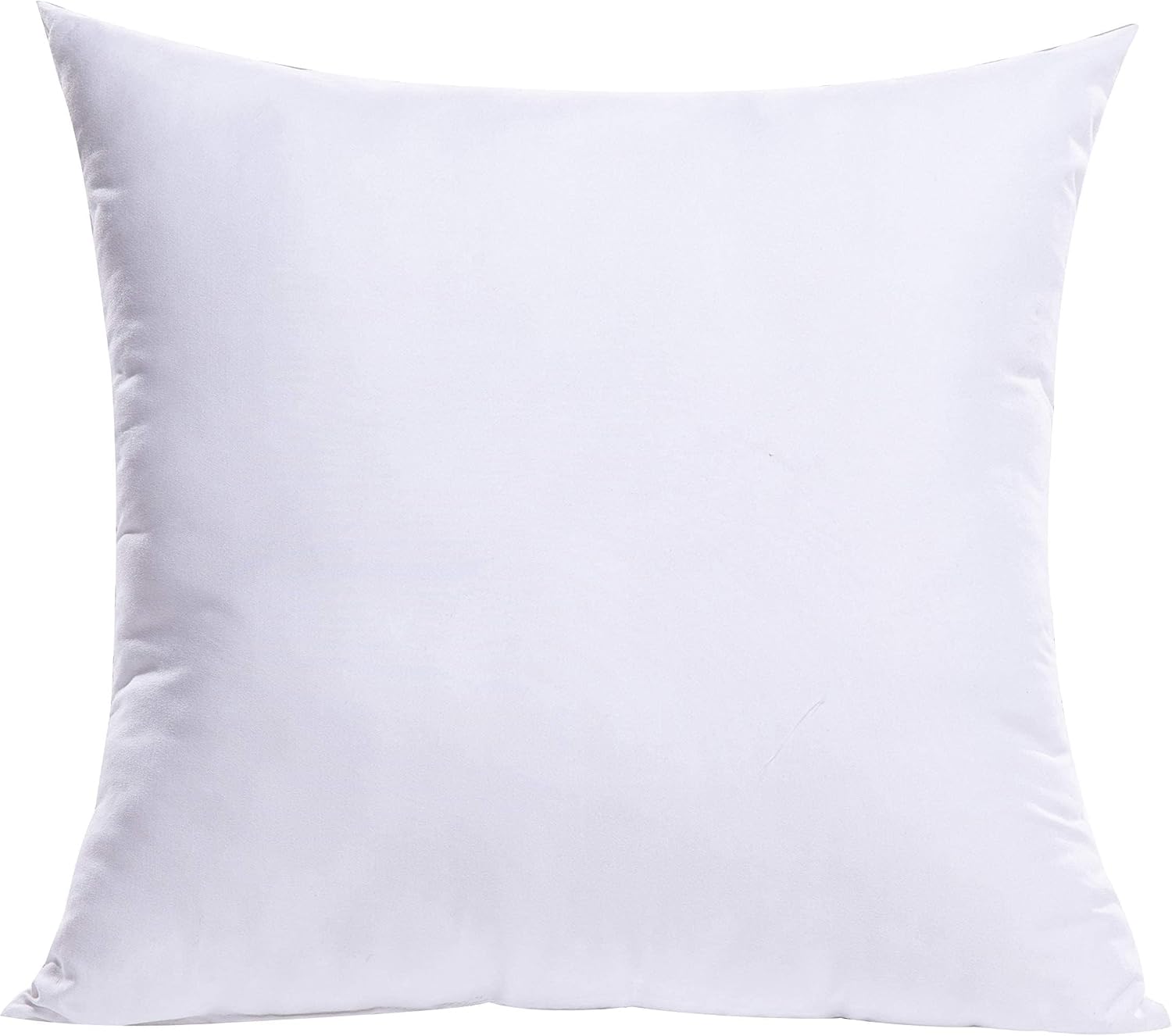 Detalle de MIULEE CAInsert_5555_1p 22x22-Inch Throw Pillow Insert, 7D Fiber Fill