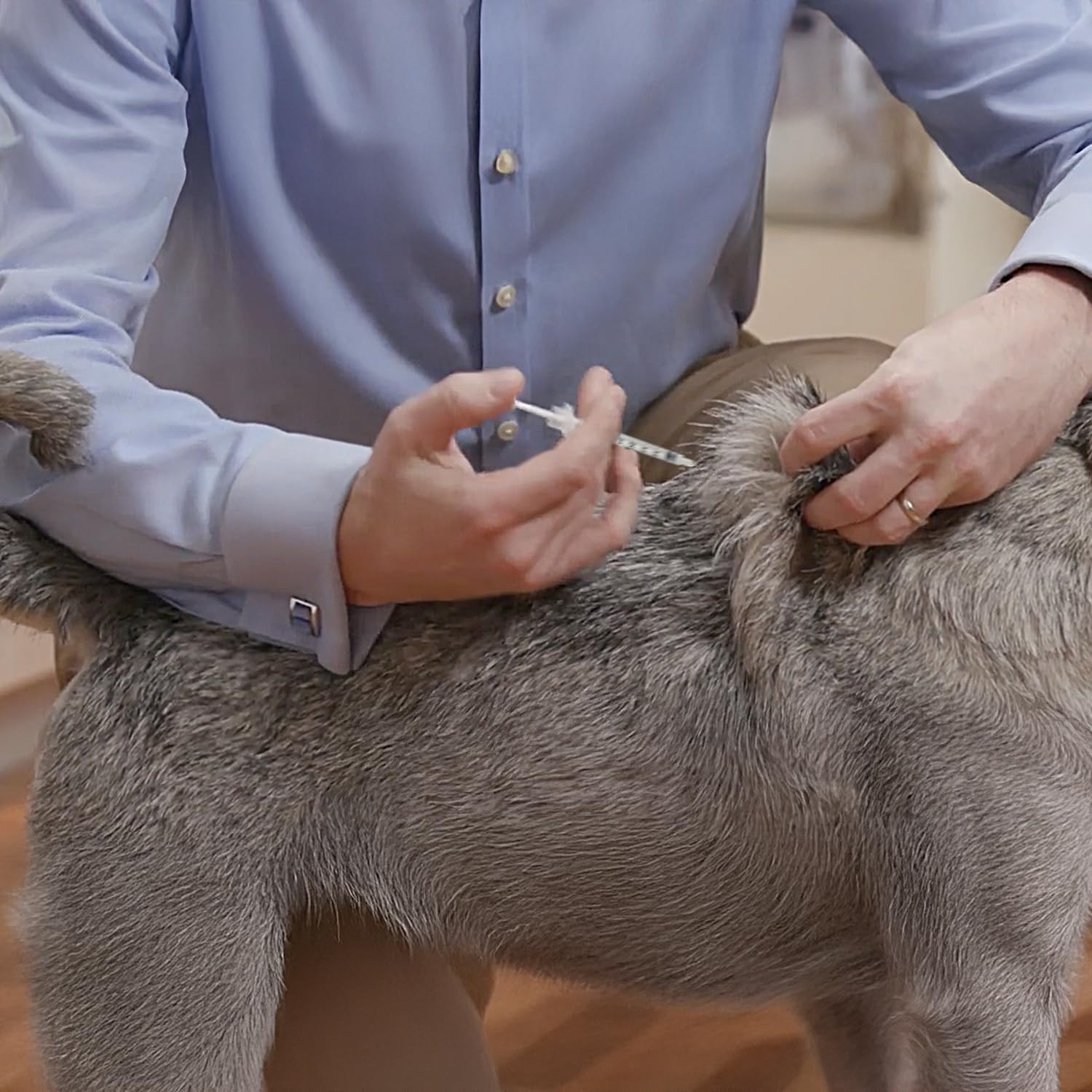 Detalle de Siringhe Sterili Monouso per Somministrazione di Insulina Veterinaria 1 ml (40 UI/ml) – 120 Pezzi