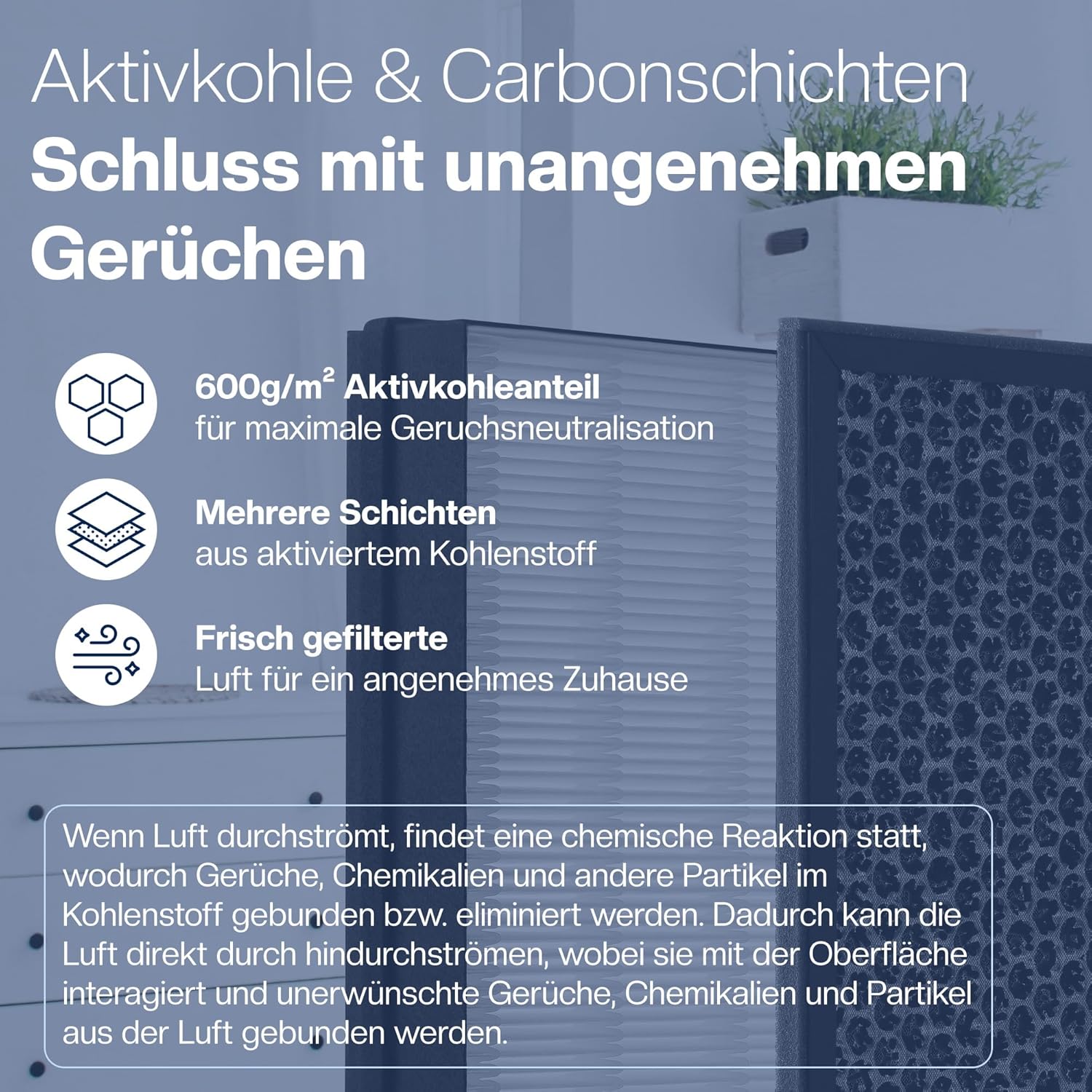 Detalle 2 de Philips AC2882/AC2887 Filter-Set 2er (HEPA+Aktivkohle)