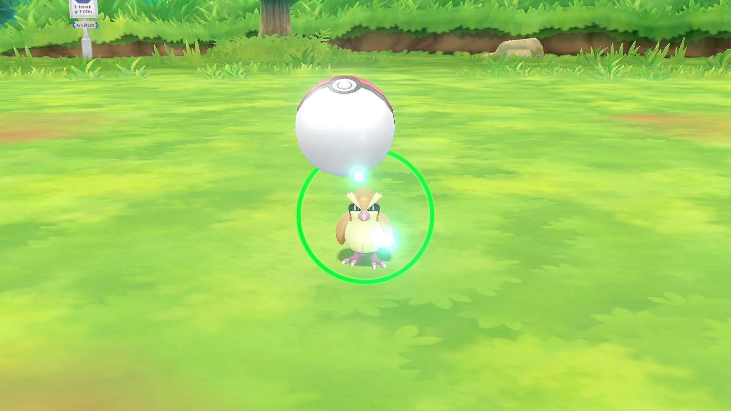 Detalle de Pokémon: Let's Go, Pikachu! (Nintendo Switch) — Pikachu a tu lado para capturar y entrenar