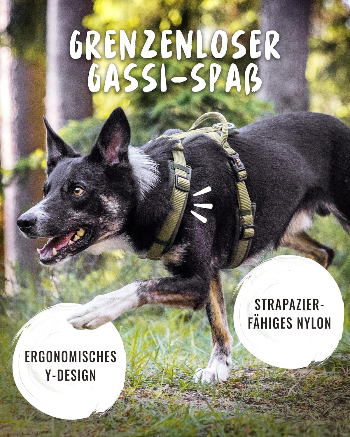 Thumbnail 5 de Rudelkönig Bella Hundegeschirr đ