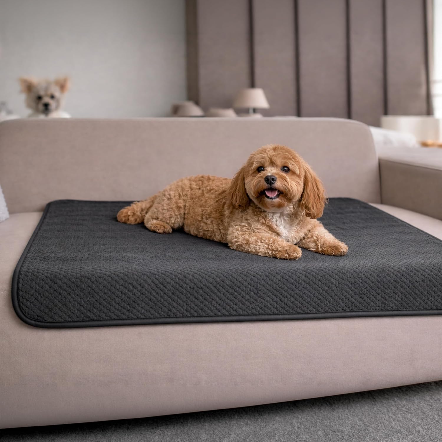 Detalle de Dreamzie Hundedecke wasserdicht (80x100 cm) für Bett, Sofa & Auto – reversibel und maschinenwaschbar, dunkelgrau