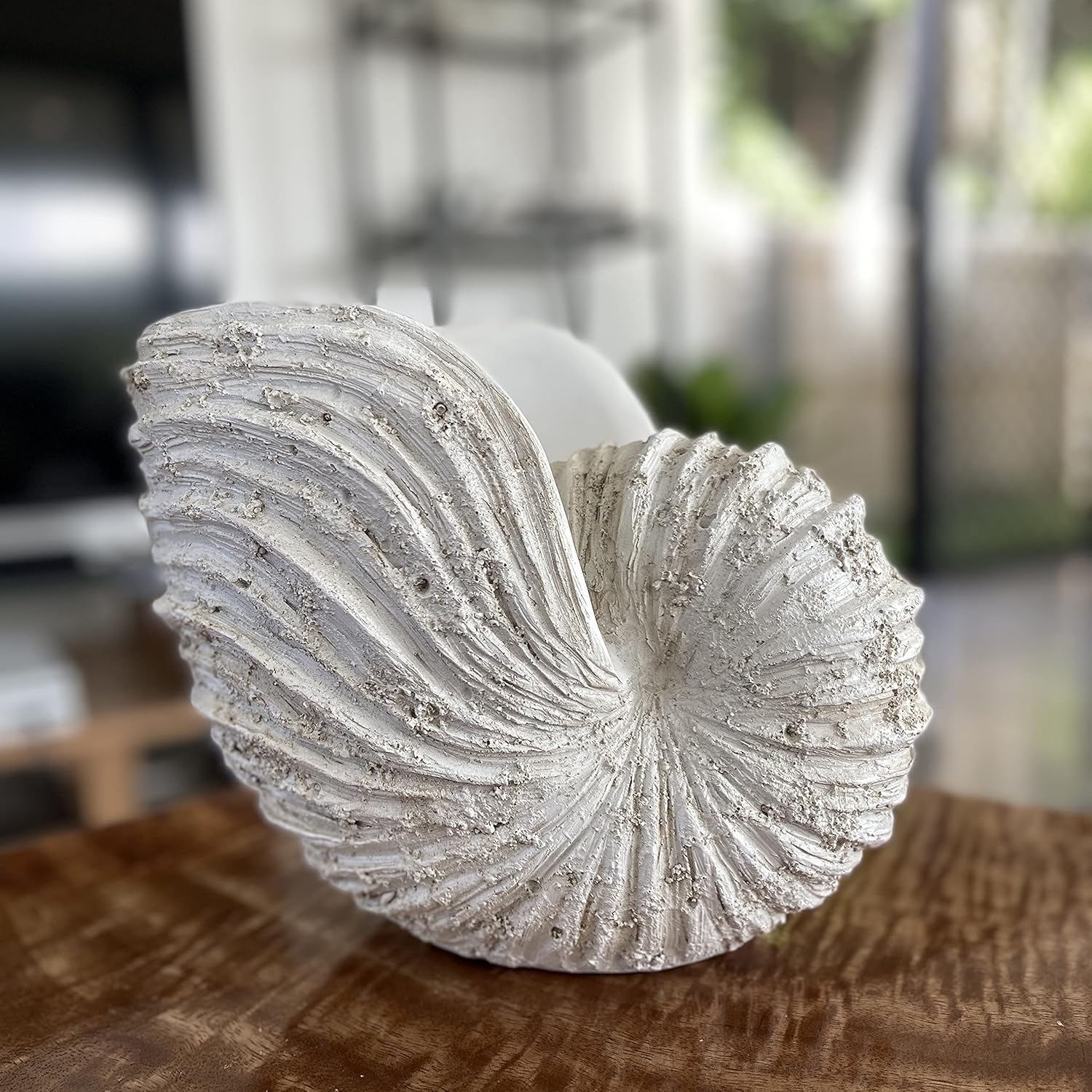 Thumbnail 5 de Huey House Réplique Nautilus 26,4 x 15,2 x 20,3 cm
