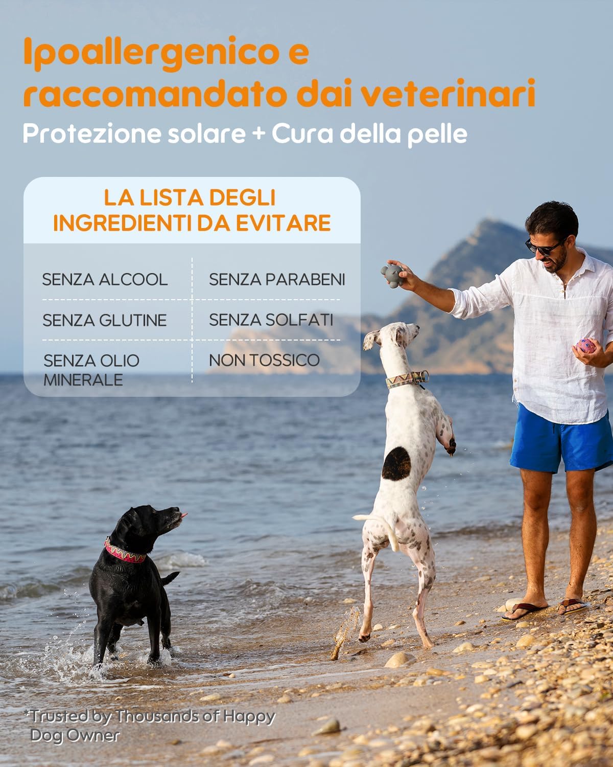Thumbnail 6 de Protezione solare per cani – Spray solare 3-in-1 (Protegge, lenisce & idrata) | Trasparente, asciugatura rapida e resistente all’acqua