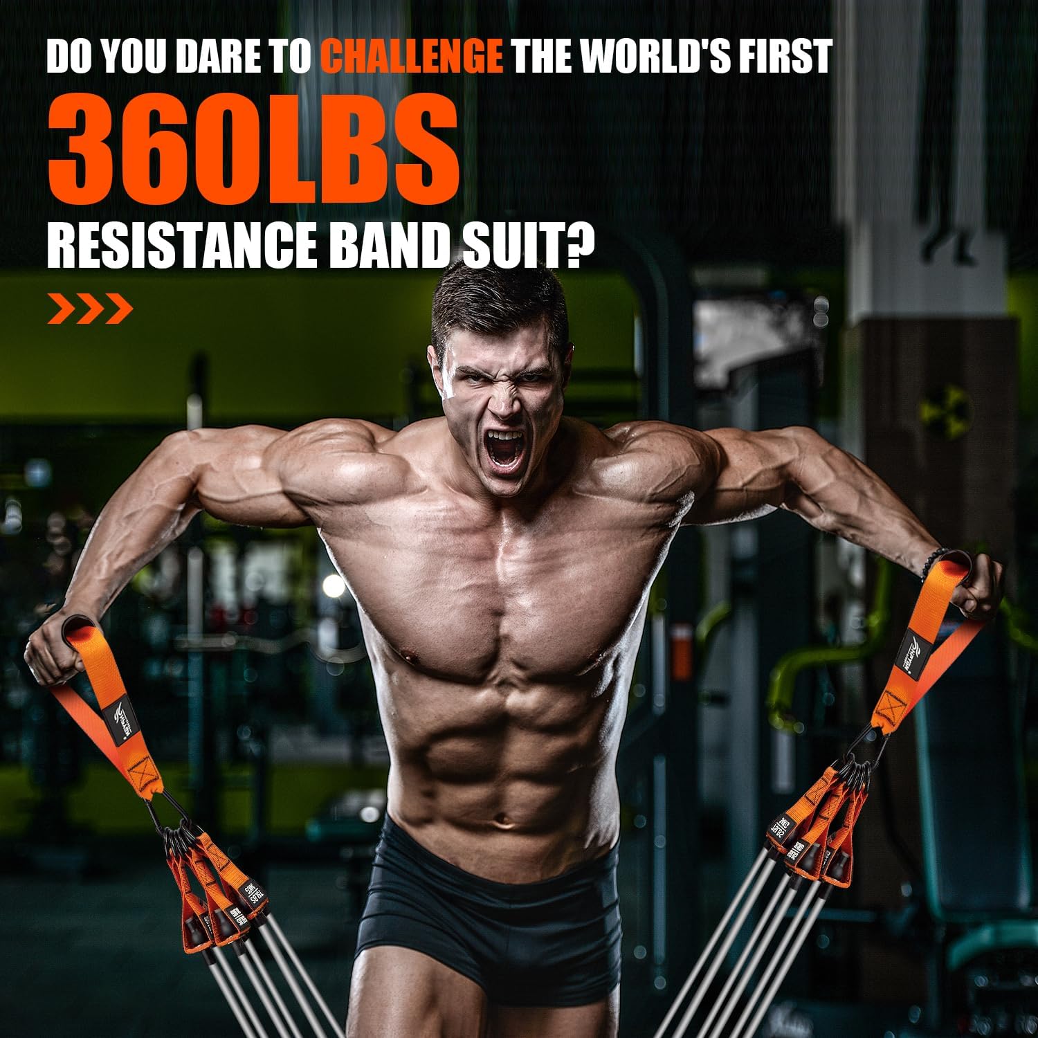 Thumbnail 2 de HPYGN Resistance Bands Set (bis 300 lbs) mit Griffen, Knöchelriemen und Türanker