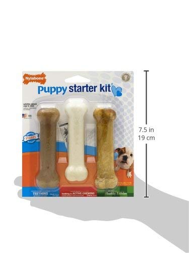 Detalle 1 de Nylabone Puppy Starter Kit: kit inicial para cachorros