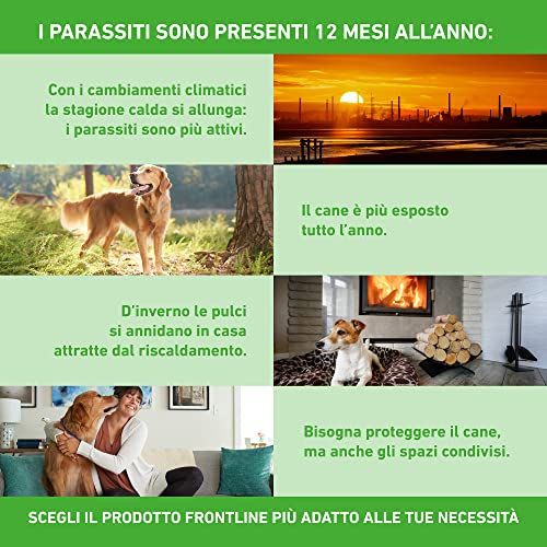 Detalle 2 de FRONTLINE Combo Cani Taglia S (2-10 Kg) – Antiparassitario pipetta per cuccioli e cani piccoli, durata mensile