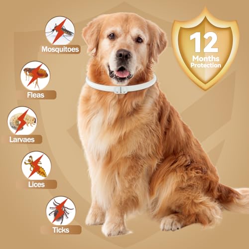 Thumbnail 1 de Inpumo Collar Antiparasitario para Perros: collar antipulgas y garrapatas impermeable con fórmula natural (duración 12 meses)