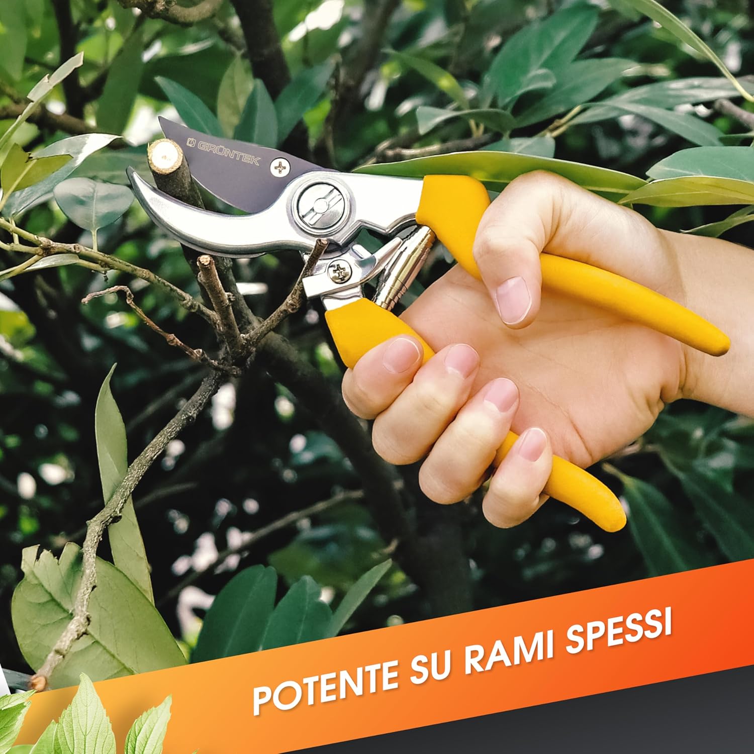 Thumbnail 5 de GRÜNTEK Forbici Cesoie da Potatura Giardino 21 cm con lama Giapponese – modello universale
