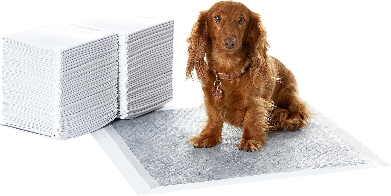 Thumbnail 6 de Amazon Basics Lot de 50 Protections pour déjections canines taille XL – charbon actif et séchage rapide