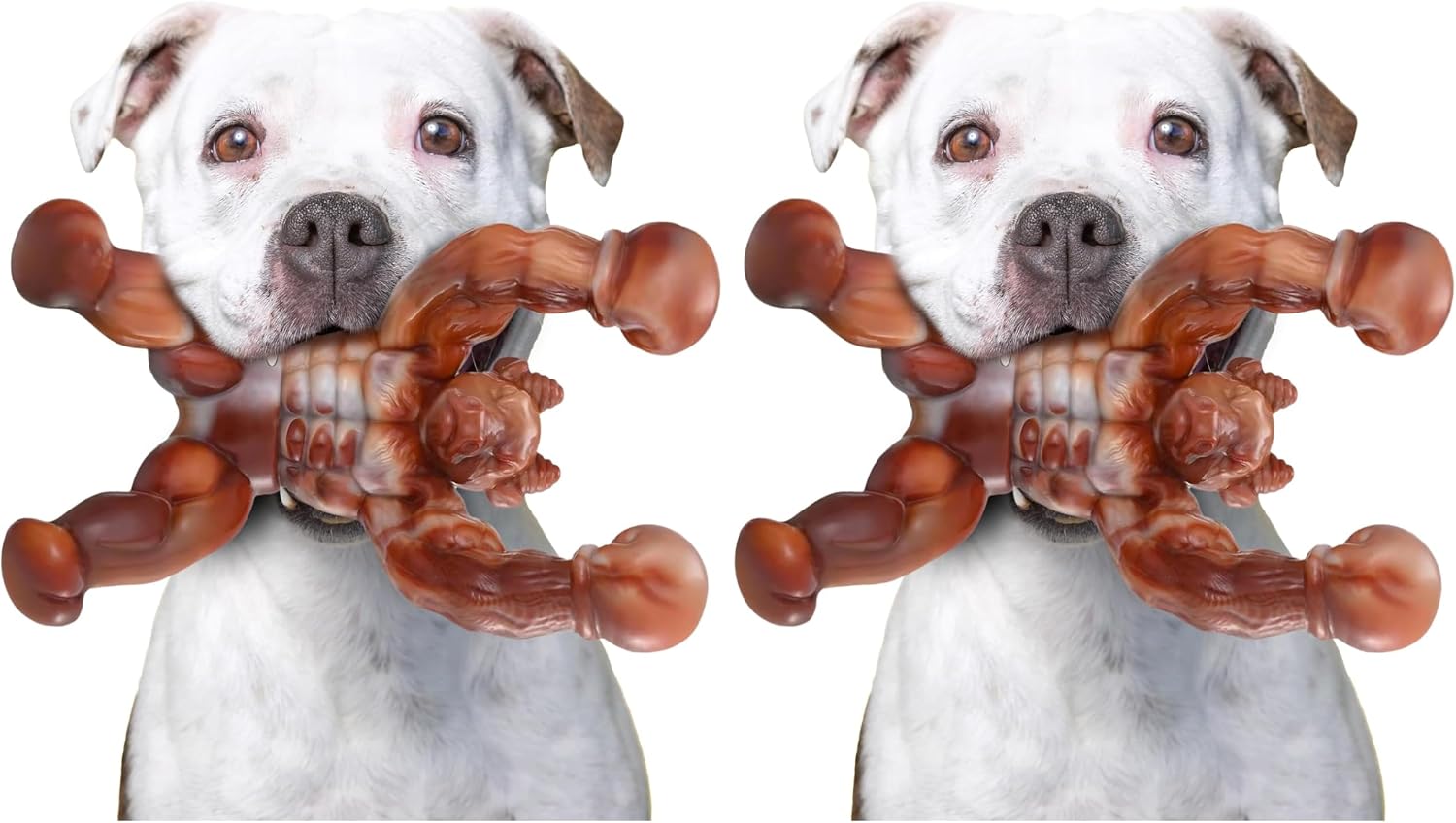 Thumbnail 6 de Zinbo Boxer Nylon Chew Toy 25-110 lbs