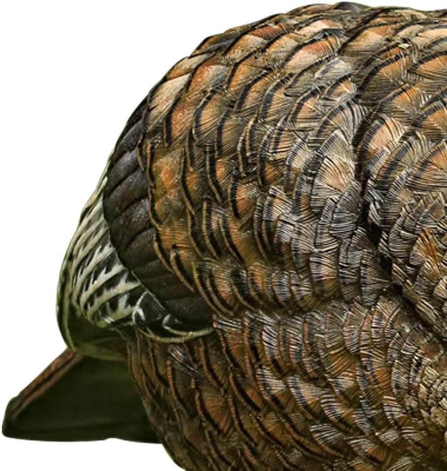 Detalle 2 de Avian-X feeder hen decoy