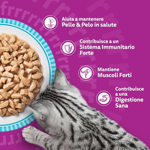 Thumbnail 4 de Whiskas Pranzetti Selezione di Pesce 1+ Adulto: cibo umido per gatti, 72 bustine in 12 confezioni da 6 x 50 g