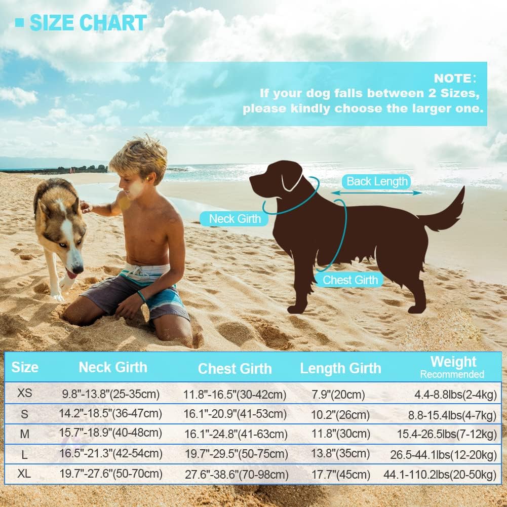 Detalle de EMUST Shark Dog Life Jacket (Pool Blue) – Small to XL, Rescue Handle