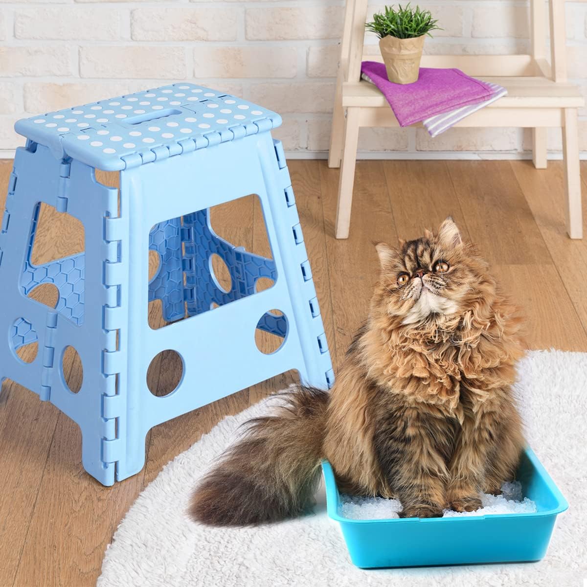 Detalle 1 de Cat&Rina Long Life żwirek silikonowy dla kota, 16 l, bezzapachowy
