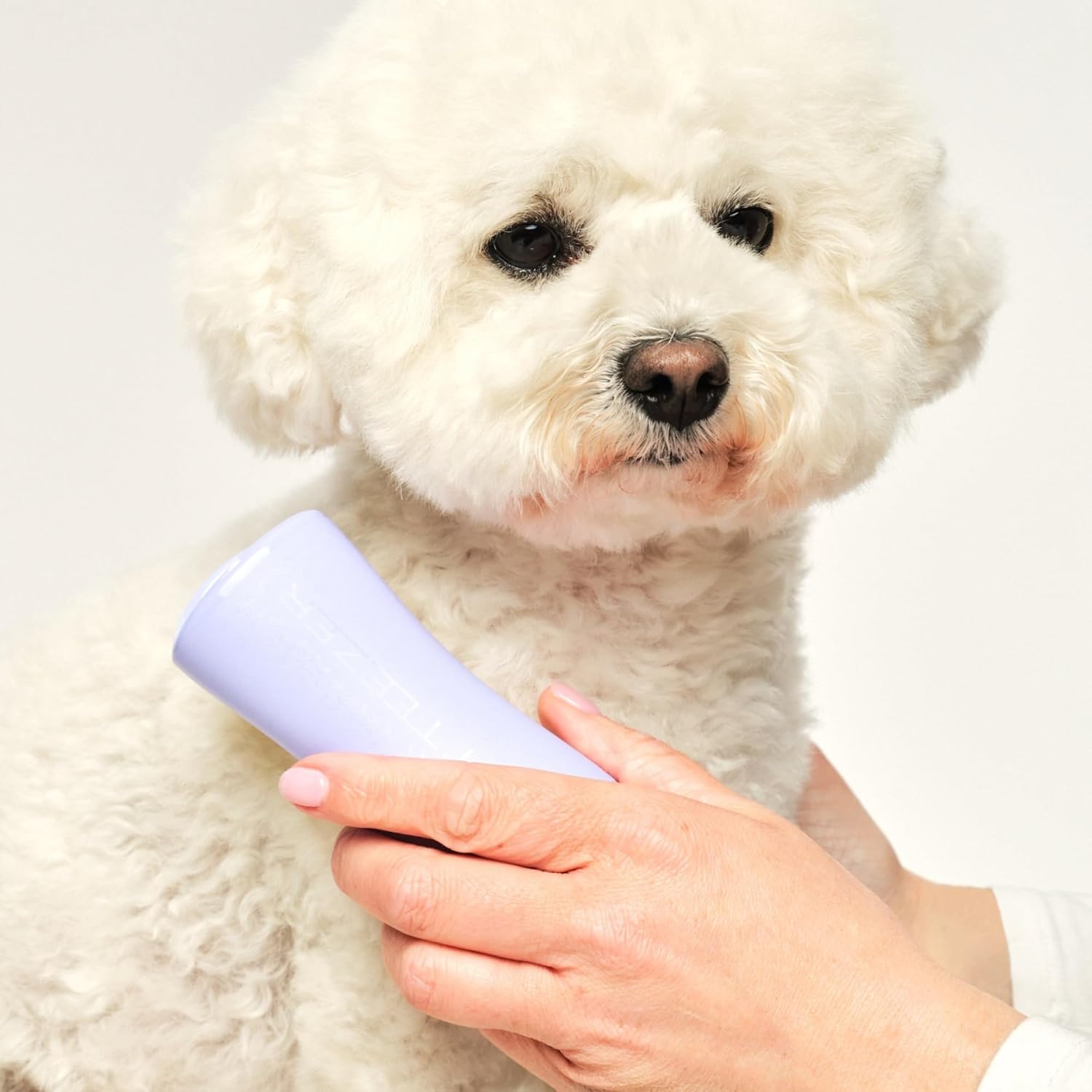 Detalle de Tangle Teezer Piccolo Pet Teezer: Spazzola indicata per sciogliere i nodi dei pelosini domestici