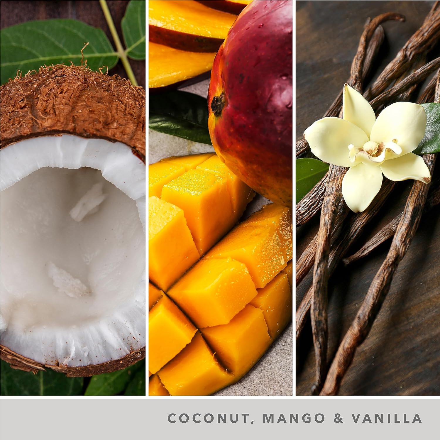 Thumbnail 1 de Yankee Candle Candela profumata in giara grande – Latte di cocco