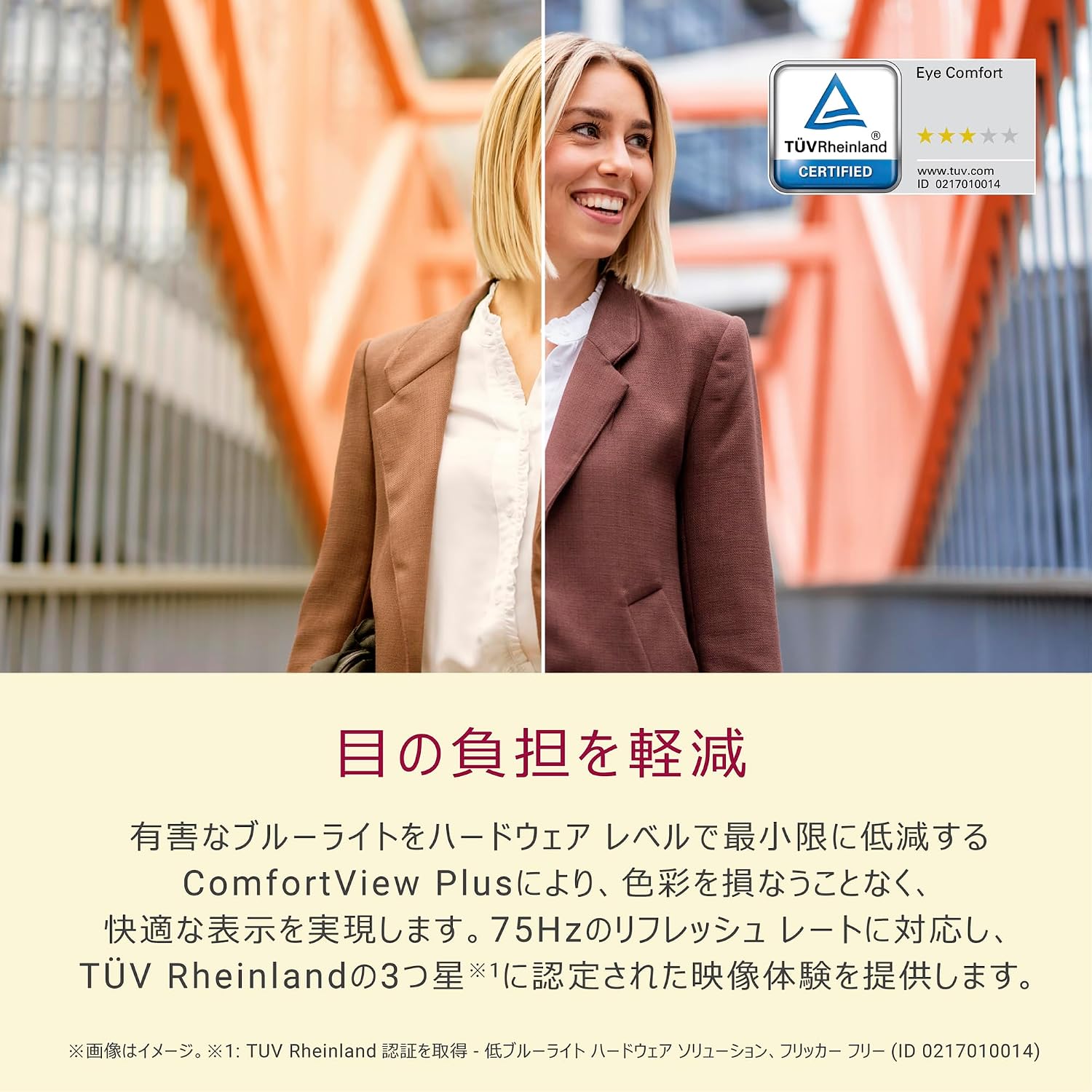 Detalle de Dell SE2225HM-A 21.5インチ フルHD VAモニター 100Hz・非光沢・傾き調整